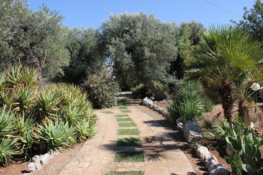 Masseria Vagone Macchia di Monte 外观 照片