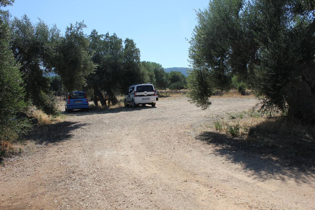 Masseria Vagone Macchia di Monte 外观 照片