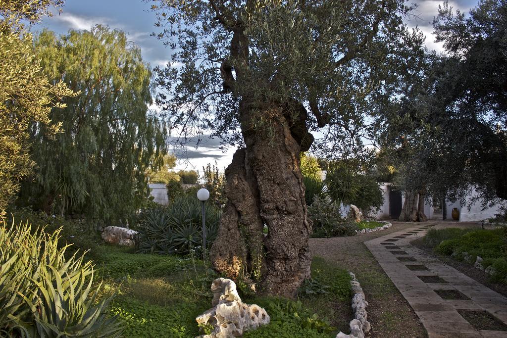 Masseria Vagone Macchia di Monte 外观 照片